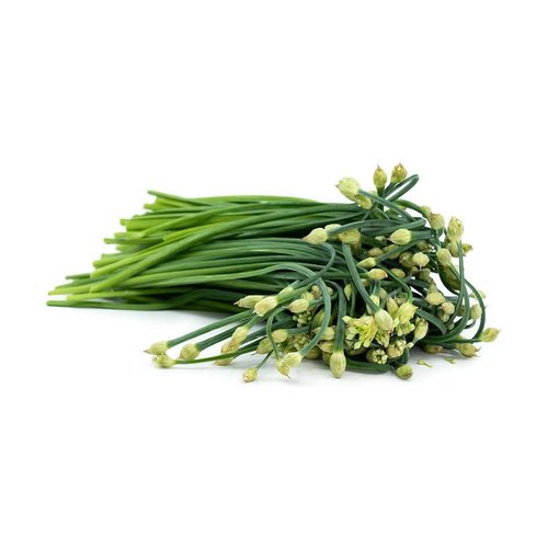 garlic_chive_500x500_20padding.jpg