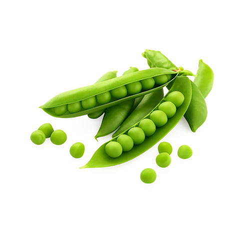 green_peas_500x500_white_bg-1.png